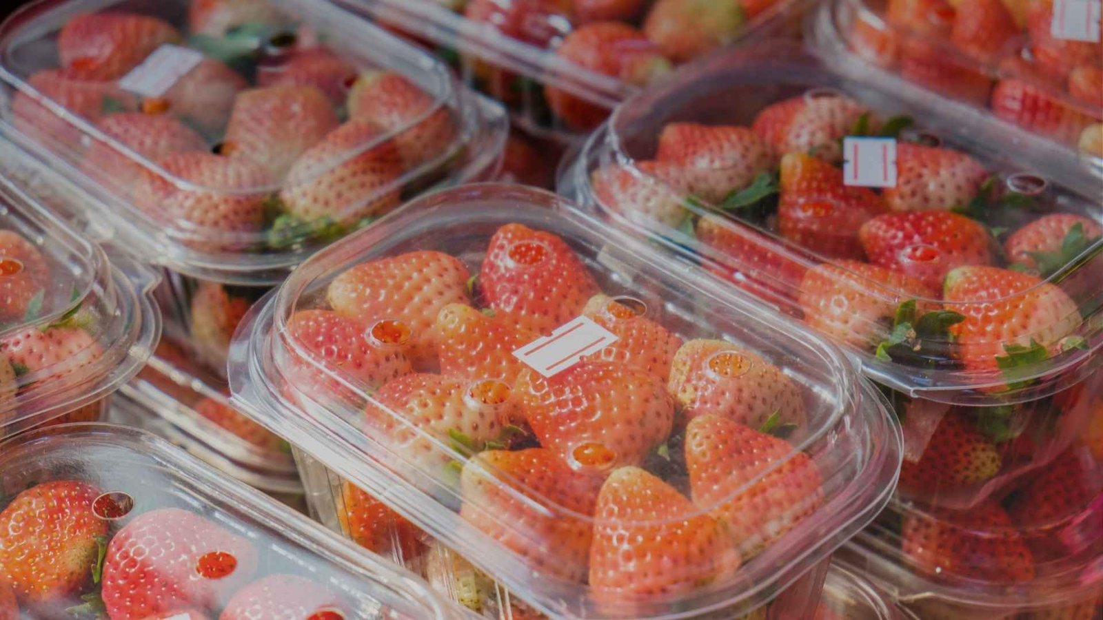 Plastic Trays